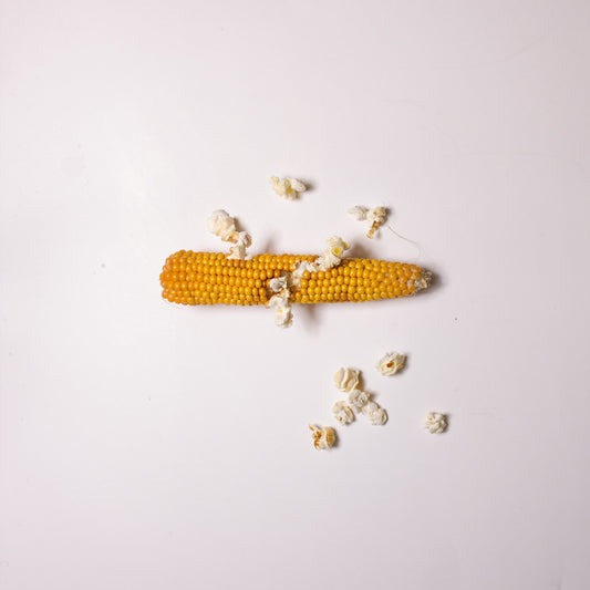 Dr Bugs Popping Corn on the Cob